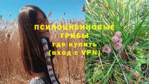 стаф Баксан