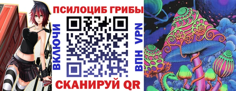KRAKEN зеркало  Сердобск  Галлюциногенные грибы Magic Shrooms 